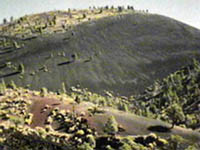 Well... maybe you won't find cacti on Mars.  -Sunset Crater