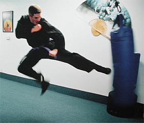 Roger's Kempo kick